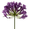 AGAPANT sztuczny kwiat dekoracyjny z płatkami z jedwabistej tkaniny - 76 cm - fioletowy 1